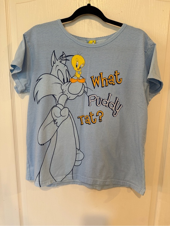 Warner Bros. Other - LOONEY TUNES Blue vintage Tweety Bird Sylvester SleepWear shirt no sz tag